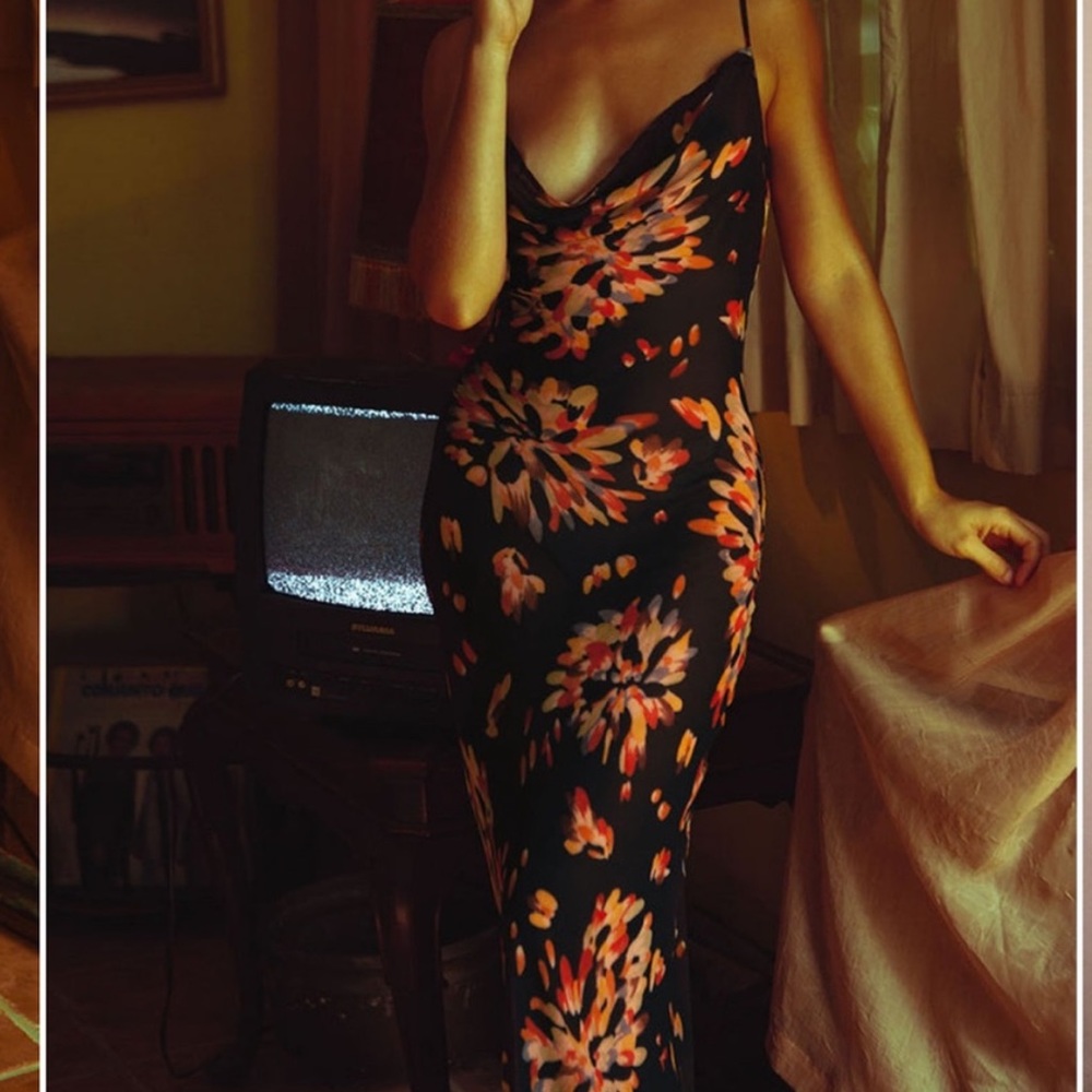NWT Beautiful sheer Ray and Boa dress